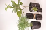 Decorative Plant Pot