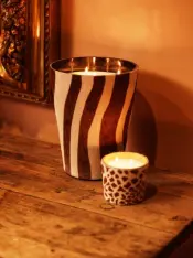 Candles Victoria zebra Mokka