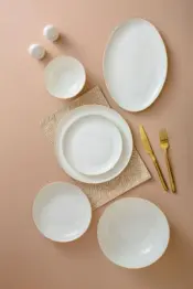 Bone China Dinner Set 1