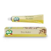 GIA 姜泥 12x80g 软管