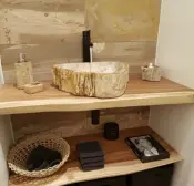 Petrified Wood Washbasins