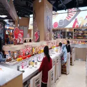 Food Train Delivery System - Magic Express Series