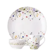 Ceramic Dinnerware Product