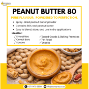 Peanut Butter Powder for Food Manufacturing