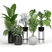 Global Base Artificial Plants