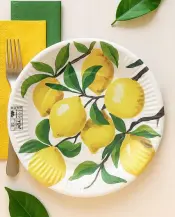 Party Paper Plates