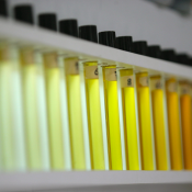 Lecithin Emulsifier Ingredients for Food Manufacturing