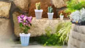 Rena Shine Decorative Vases