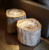 Petrified Wood Side Tables
