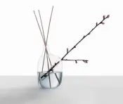 HANAMI Fragrance Diffuser and Vase