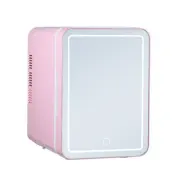Mini Fridge with LED Mirror Light