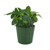Fence Flowerpot Collection