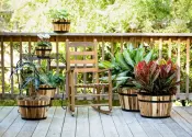 Round Acacia Wooden Planters