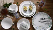 Decor Innovations New Bone China Dinnerware