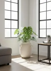 Natural Elegance Light Decor