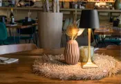 Securit Hospitality Lighting