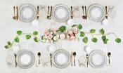 Sovrana Opalware Collection