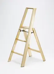 3-Step Household Ladder