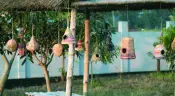 Natural Handmade Bird House