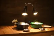 Colored Induction Hydraulic Chafing Dish