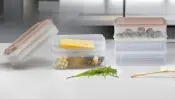 Rena SNAP Food Container