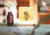 Pickmotion Postcards Set