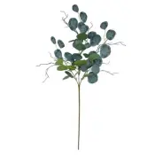 30 Inch Eucalyptus Branch