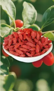 Goji berries
