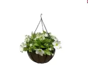 Basket Flower Pot Plants