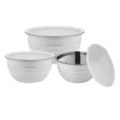 Stainless Steel Bowl Set with Plastic Lid