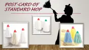 Standard Mop Post Card Display