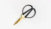 Old-School Brass Black Scissors
