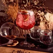 Maya Cocktail Stemware