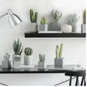 Green Plants with Resin Pot