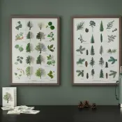 Nature Poster Prints
