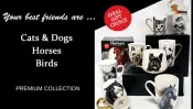 Animals Collection Porcelain