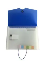 Expanding File Case