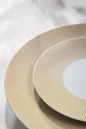 DEGRENNE ECLATS Decorated Porcelain Collection