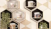 Cats Collection Porcelain