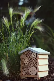 PATKAR Insect Hotel