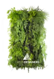 Limba Wilderness Vertical Garden