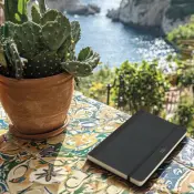 Flexbook I Love Cactus Eco Notebook