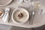 Newmoon Dinnerware Porcelain Premium