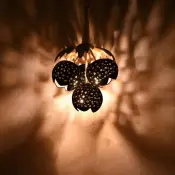 Coconut Shell Grapes Hanging Lights