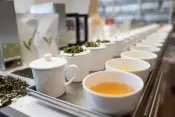 Dethlefsen & Balk Tea Collection