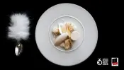 Unico Ceramic Collection