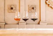 Cocoon Series Glassware