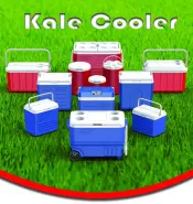 Cooler Box Thermoses