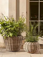 KUBU and Rattan Pots