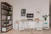DOMO Organization Collection